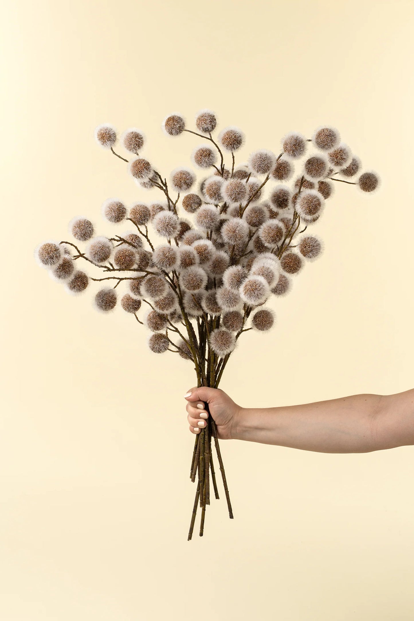 Sycamore Pod Spray - Magnolia Lane co. Home + Garden + Gift