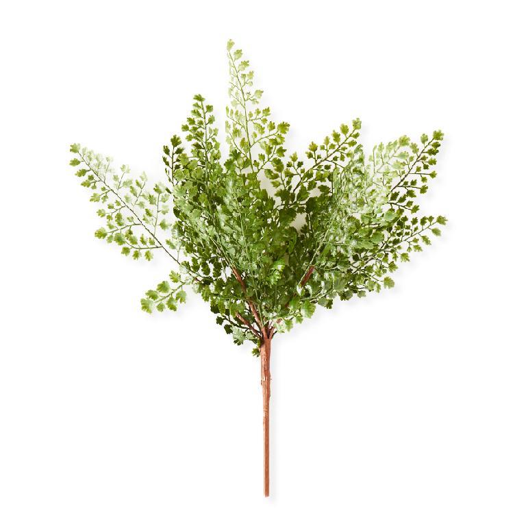 16 Inch Maidenhair Fern Spray Stem - Magnolia Lane co. Home + Garden + Gift