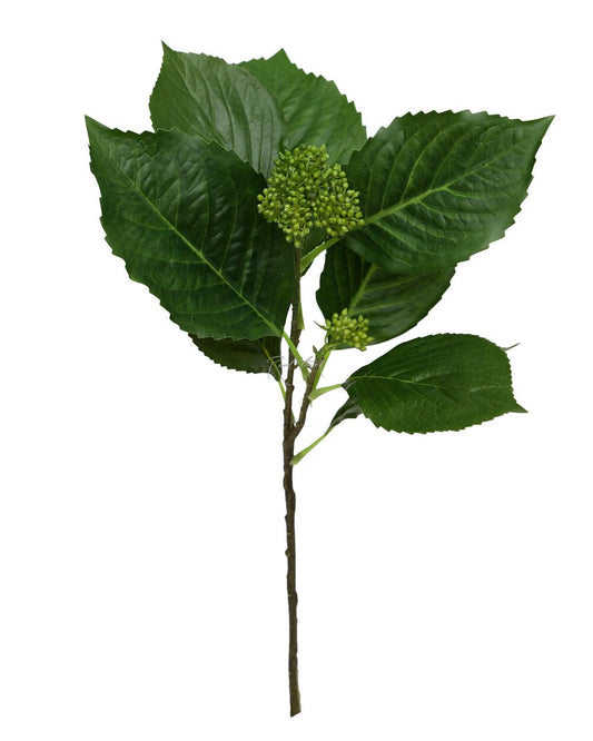 Real Touch Hydrangea stem with closed buds - Still Stems Home & Garden