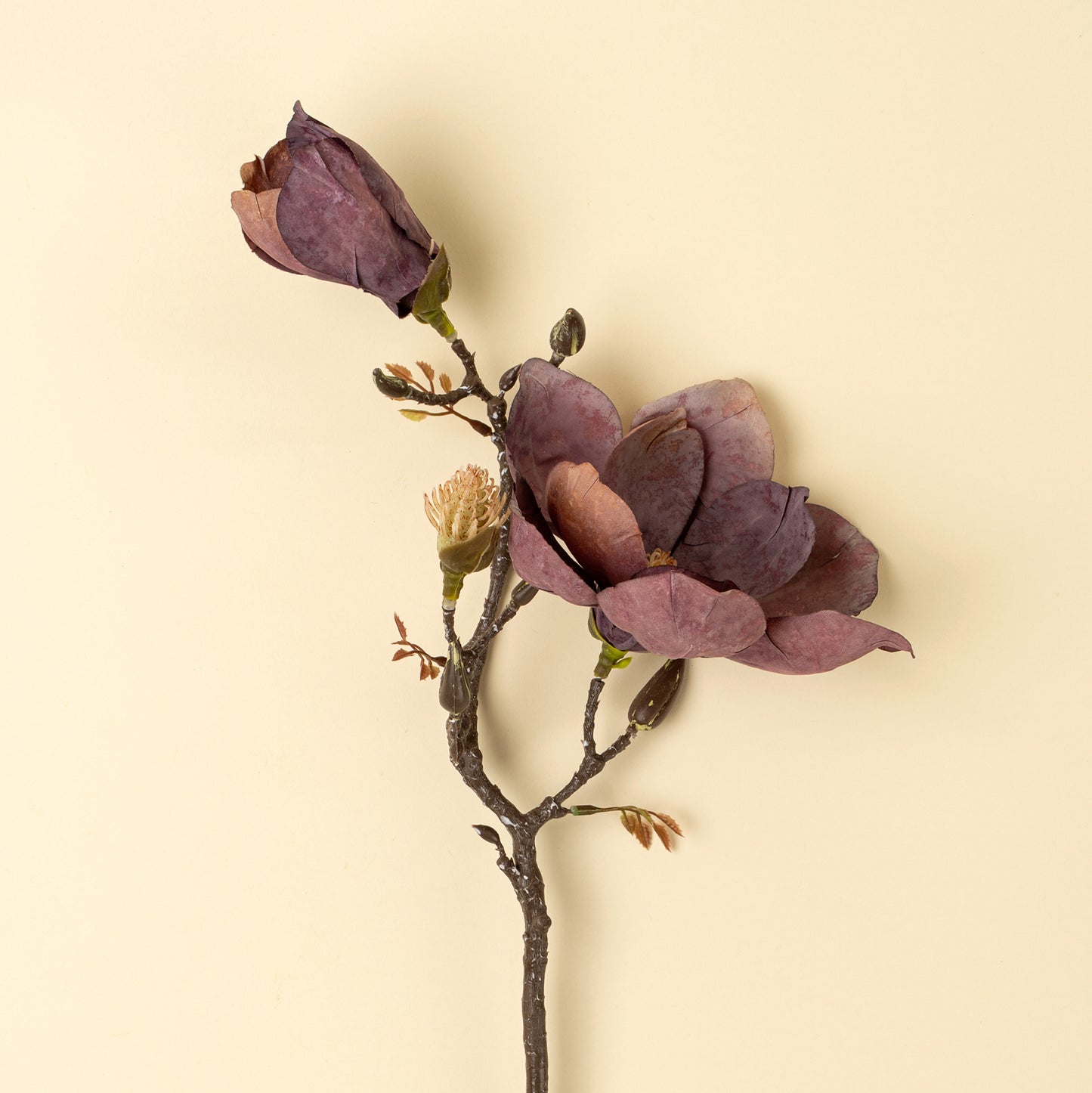 Magnolia Branch, Purple - Magnolia Lane co. Home + Garden + Gift