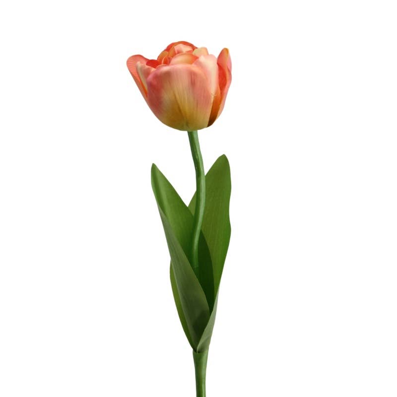 Double tulip 52 cm peach-pink - Magnolia Lane co. Home + Garden + Gift