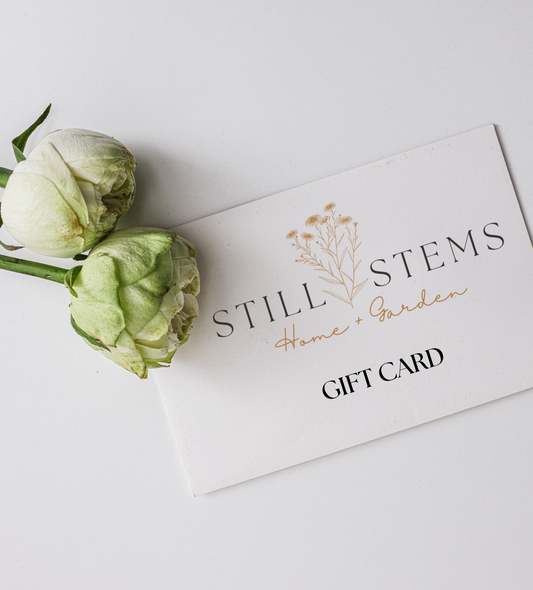 Still Stems Home + Garden Gift Card - Still Stems Home & Garden