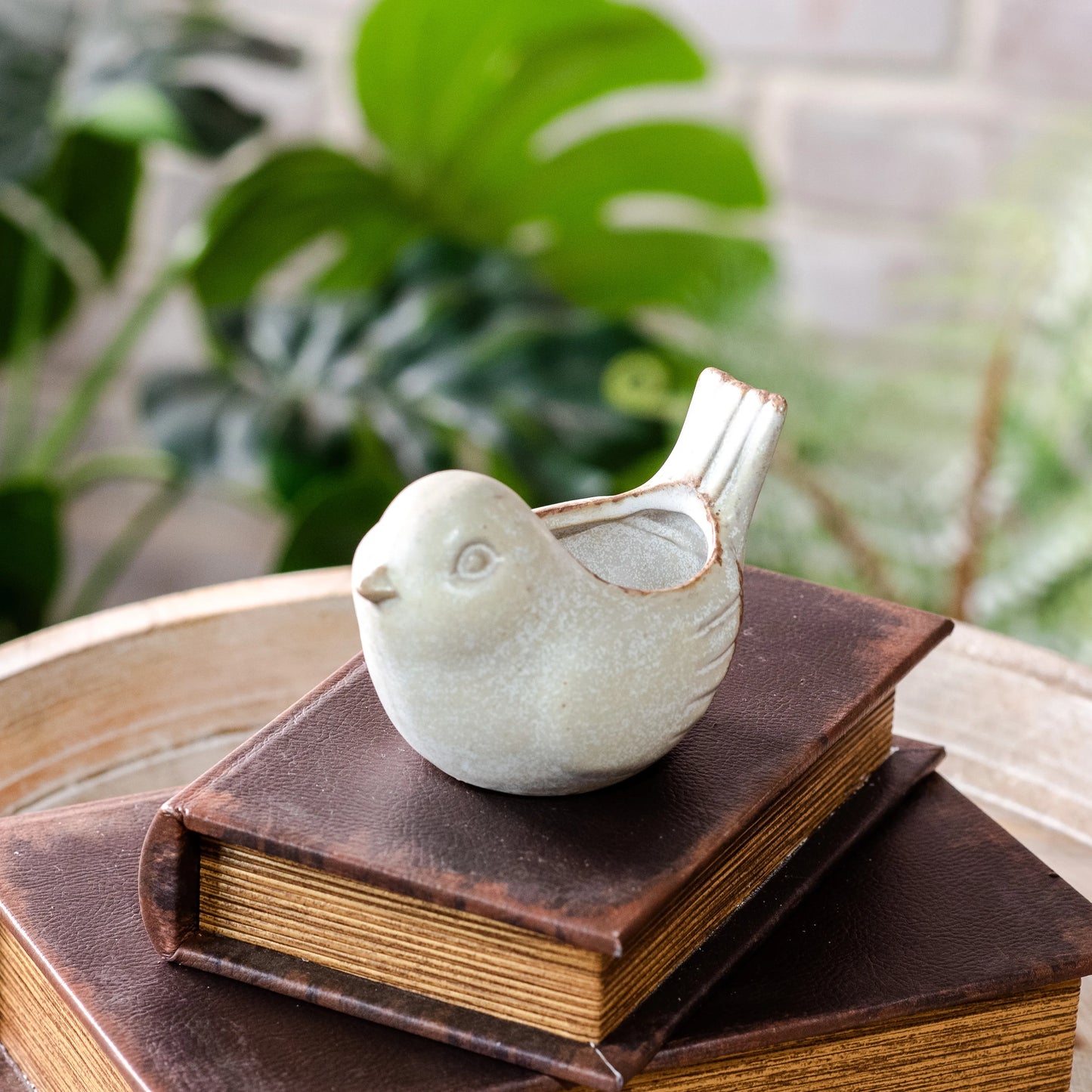 4"L TAN W/ WHITE WASH BIRD POT - Magnolia Lane co. Home + Garden + Gift