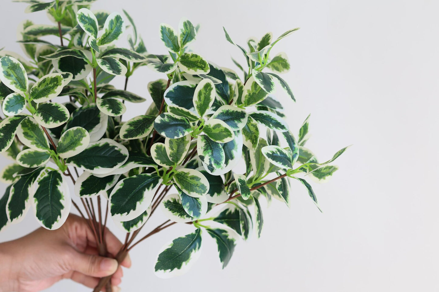Faux Schefflera Bush - Magnolia Lane co. Home + Garden + Gift