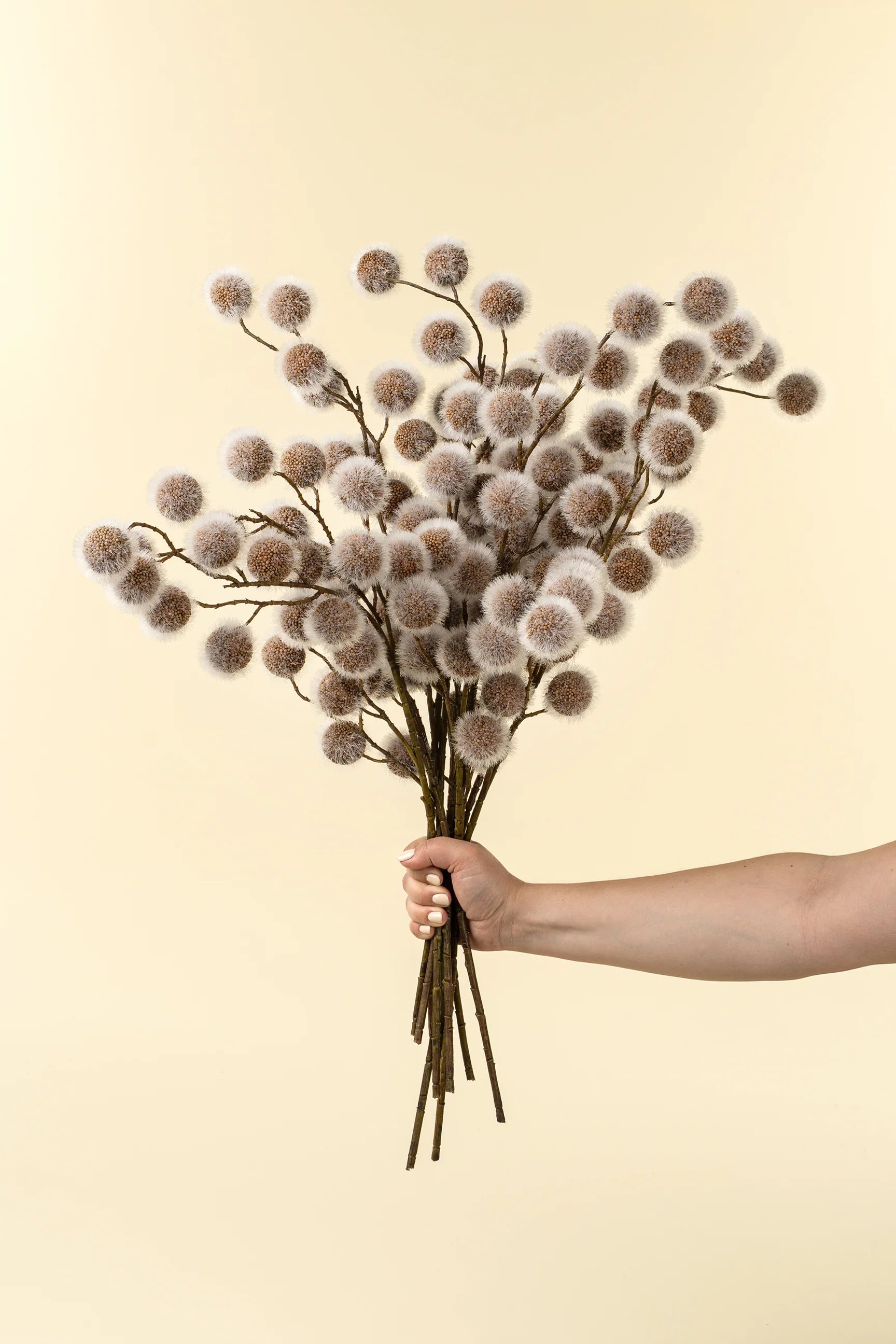 Sycamore Pod Spray - Magnolia Lane co. Home + Garden + Gift
