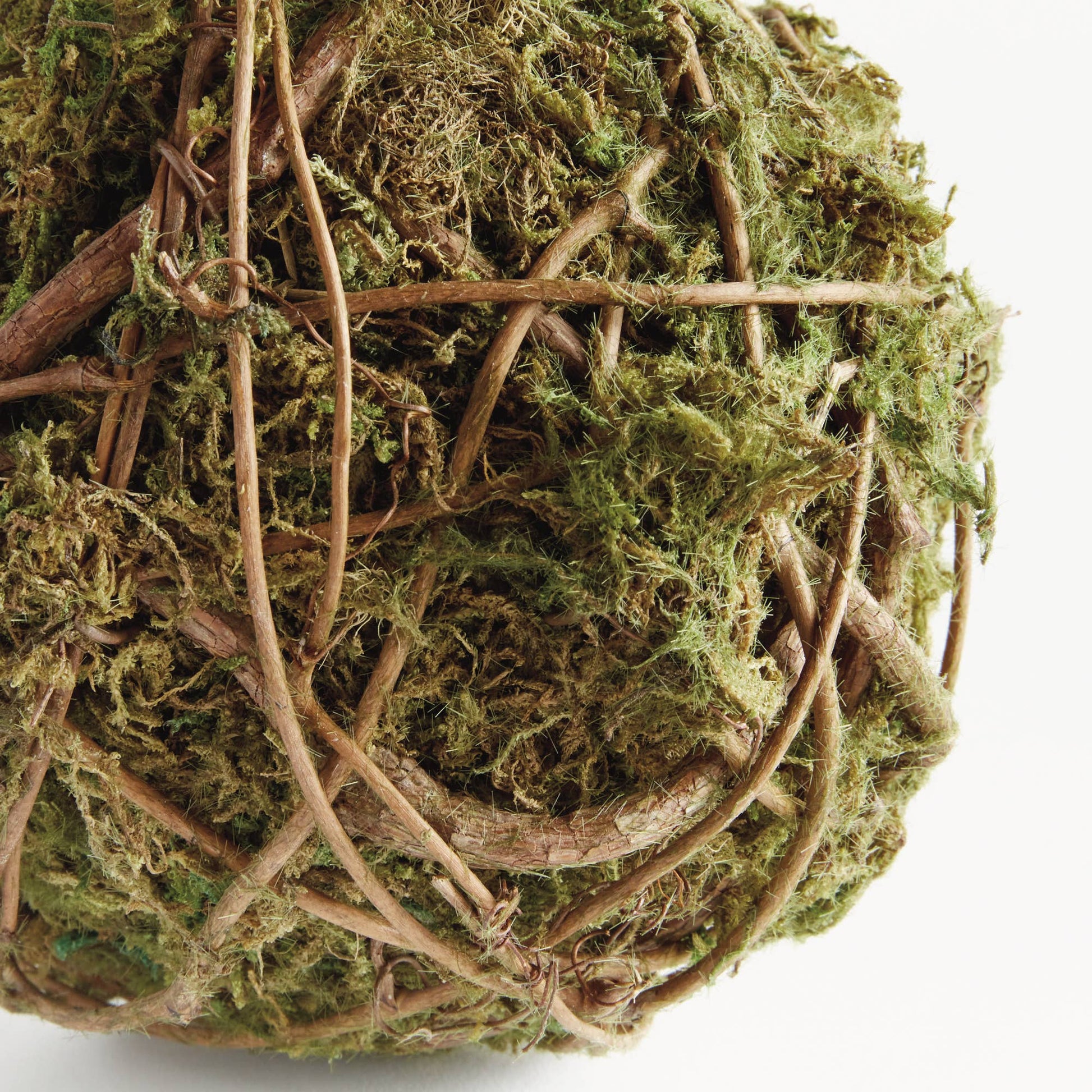 Mossy Vine Orb 6" - Magnolia Lane co. Home + Garden + Gift