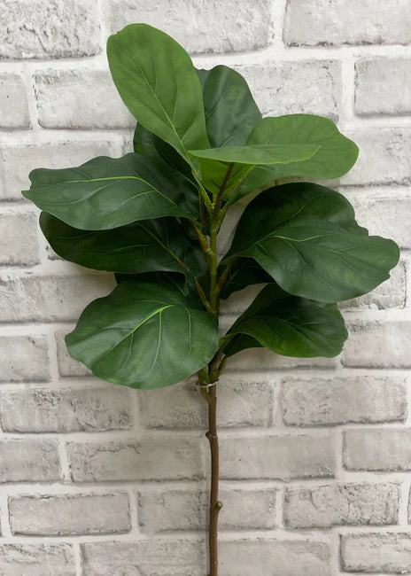 33" FIDDLE LEAF FIG STEM - Magnolia Lane co. Home + Garden + Gift