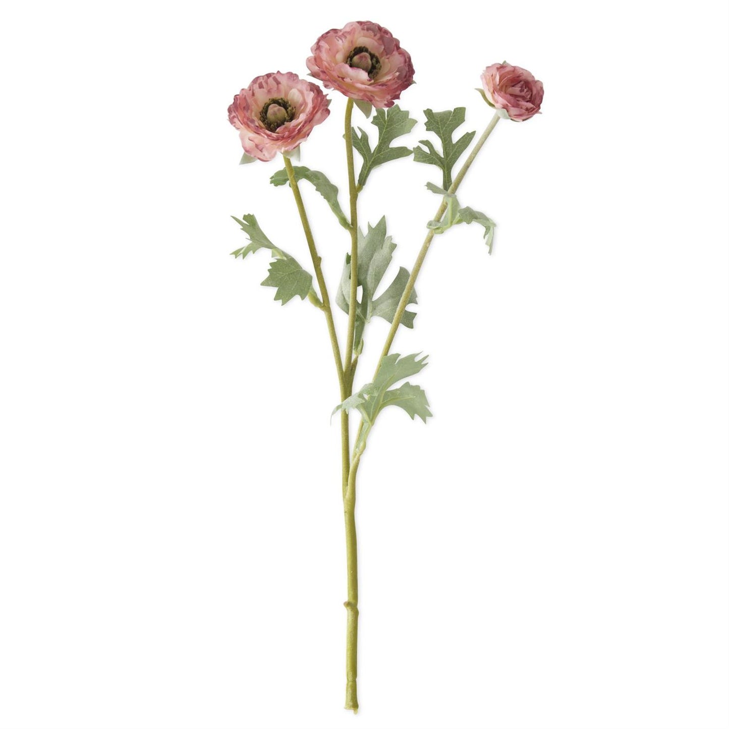 3 Head Pink Ranunculus Stem - Magnolia Lane co. Home + Garden + Gift