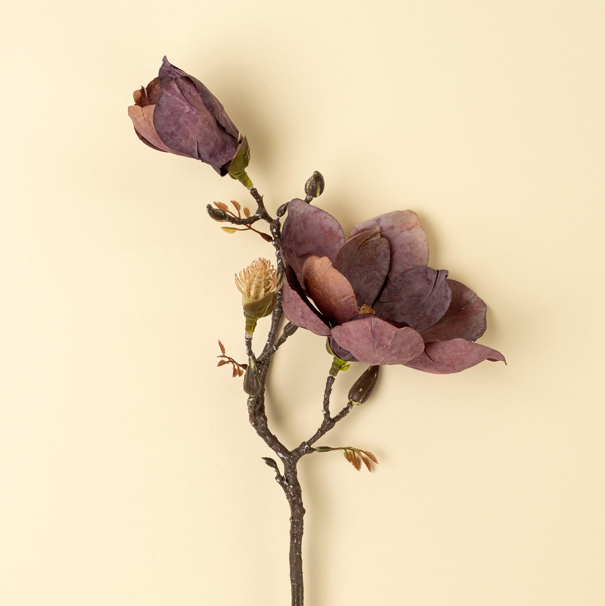 Magnolia Branch, Purple - Magnolia Lane co. Home + Garden + Gift