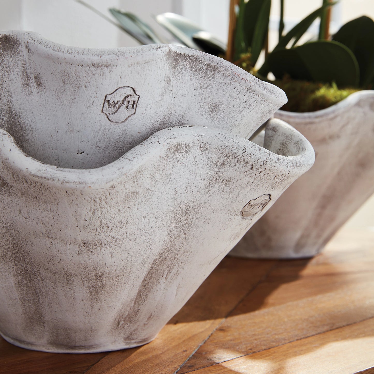 Wakefield Handmade Wiley Pot | 2 Sizes - Magnolia Lane co. Home + Garden + Gift