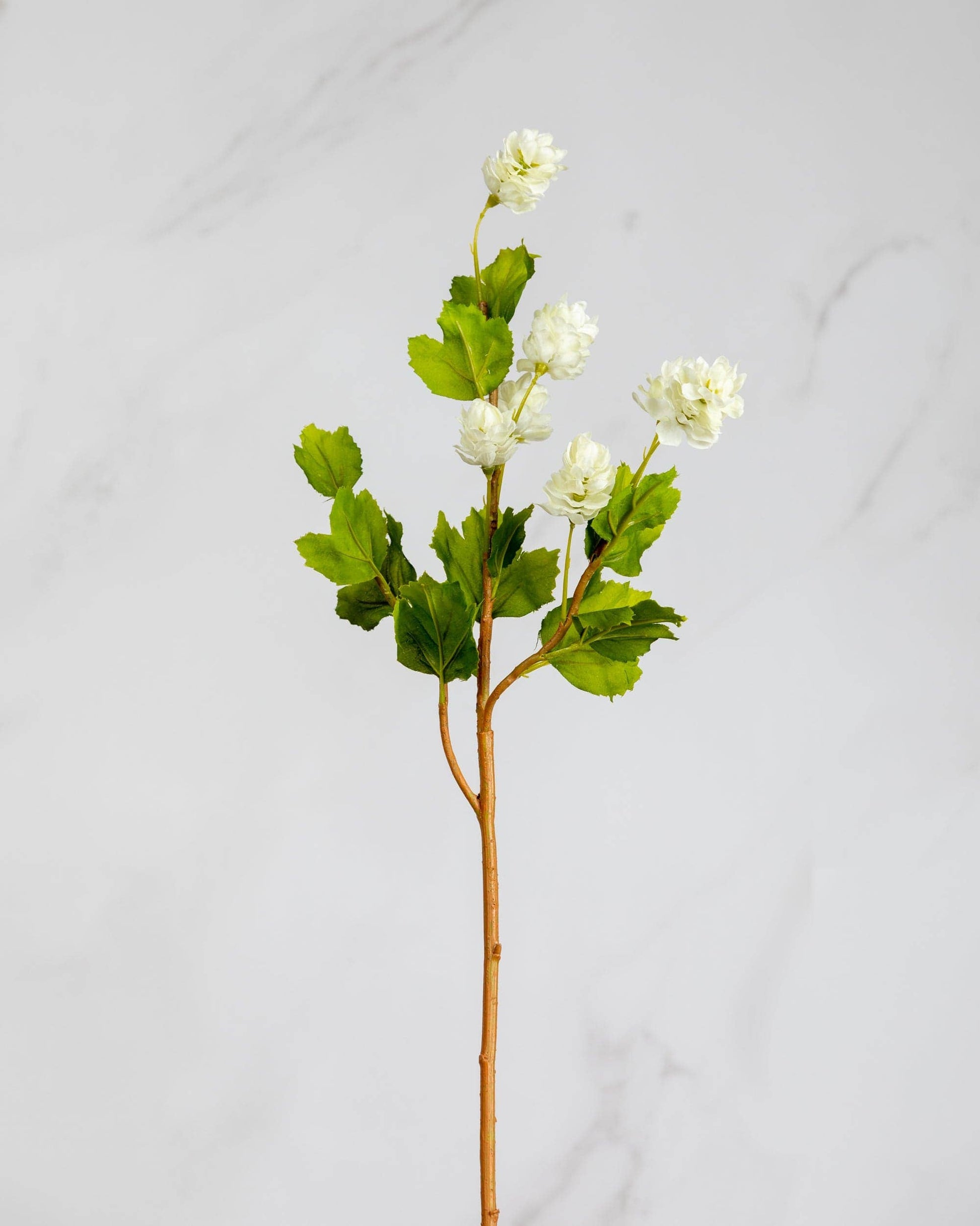 White Hops 26.5” - Magnolia Lane co. Home + Garden + Gift