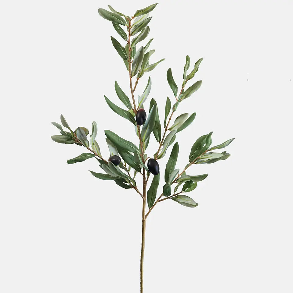 Olive Leaf Branch 33" - Magnolia Lane co. Home + Garden + Gift