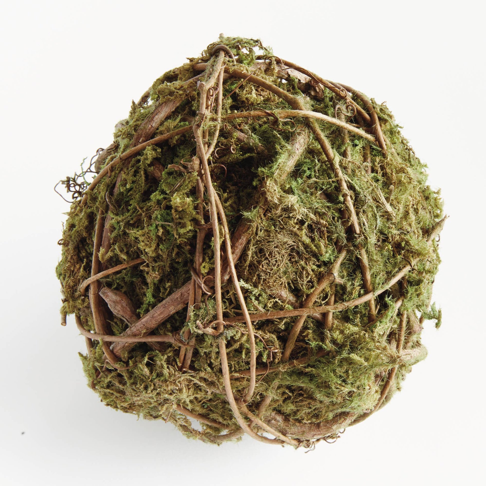 Mossy Vine Orb 6" - Magnolia Lane co. Home + Garden + Gift