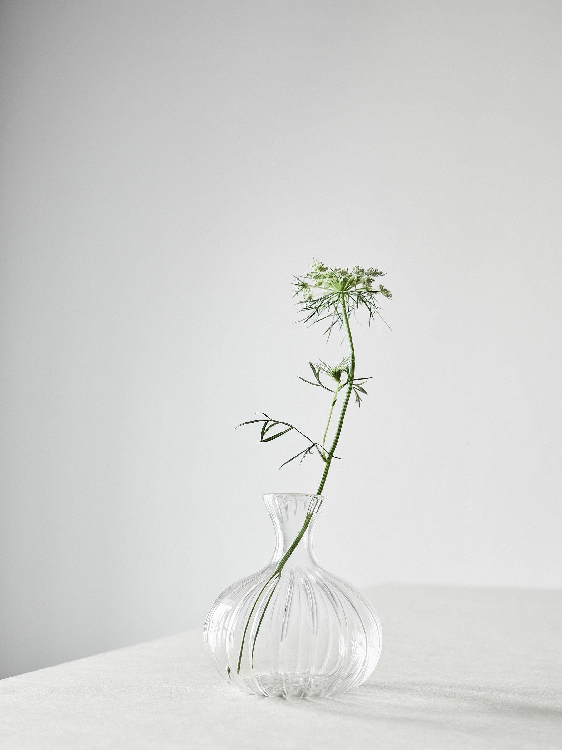 Como ripple vase - small - Magnolia Lane co. Home + Garden + Gift