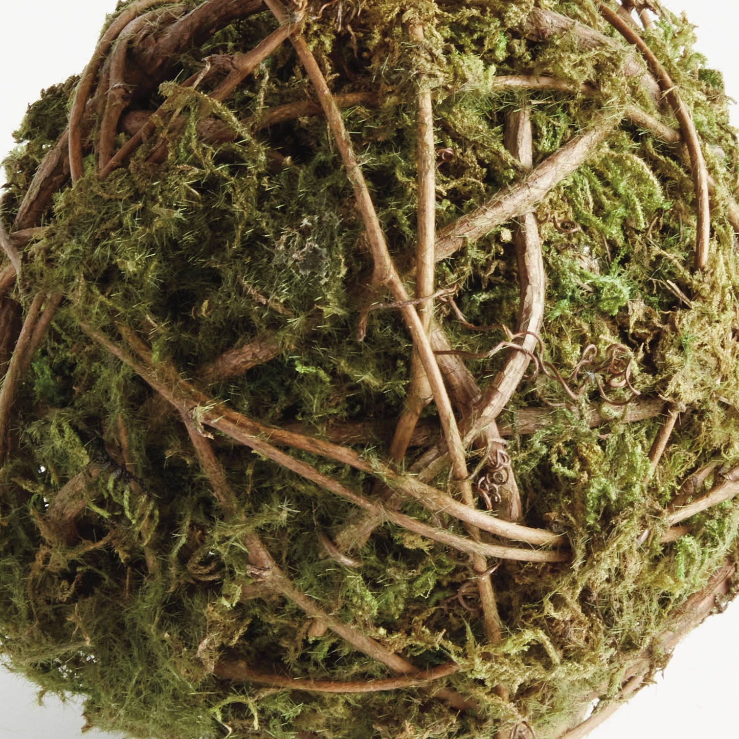 Mossy Vine Orb 6" - Magnolia Lane co. Home + Garden + Gift