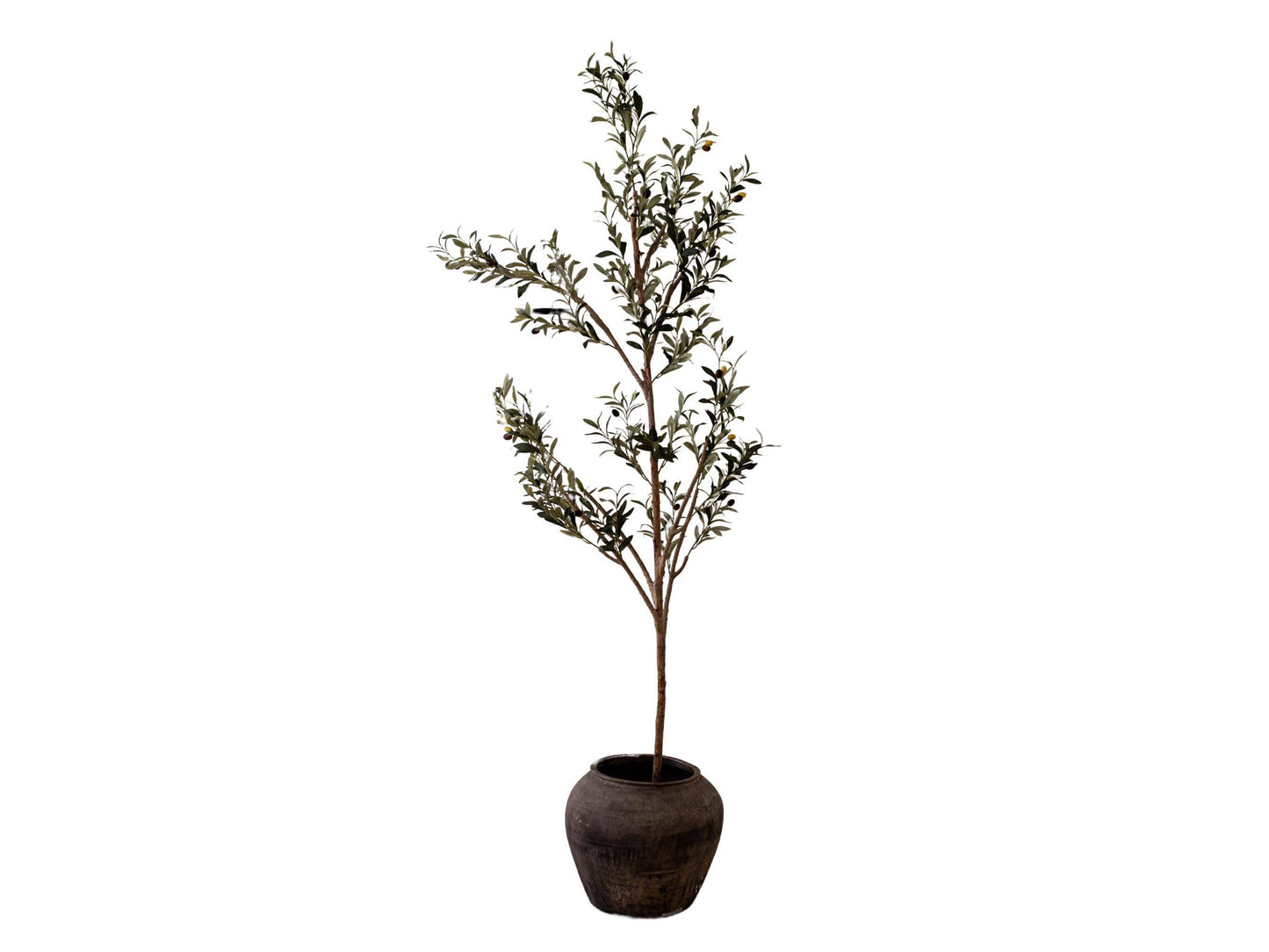 Atelier Black Vintage Olive Tree Pot Vase - Magnolia Lane co. Home + Garden + Gift