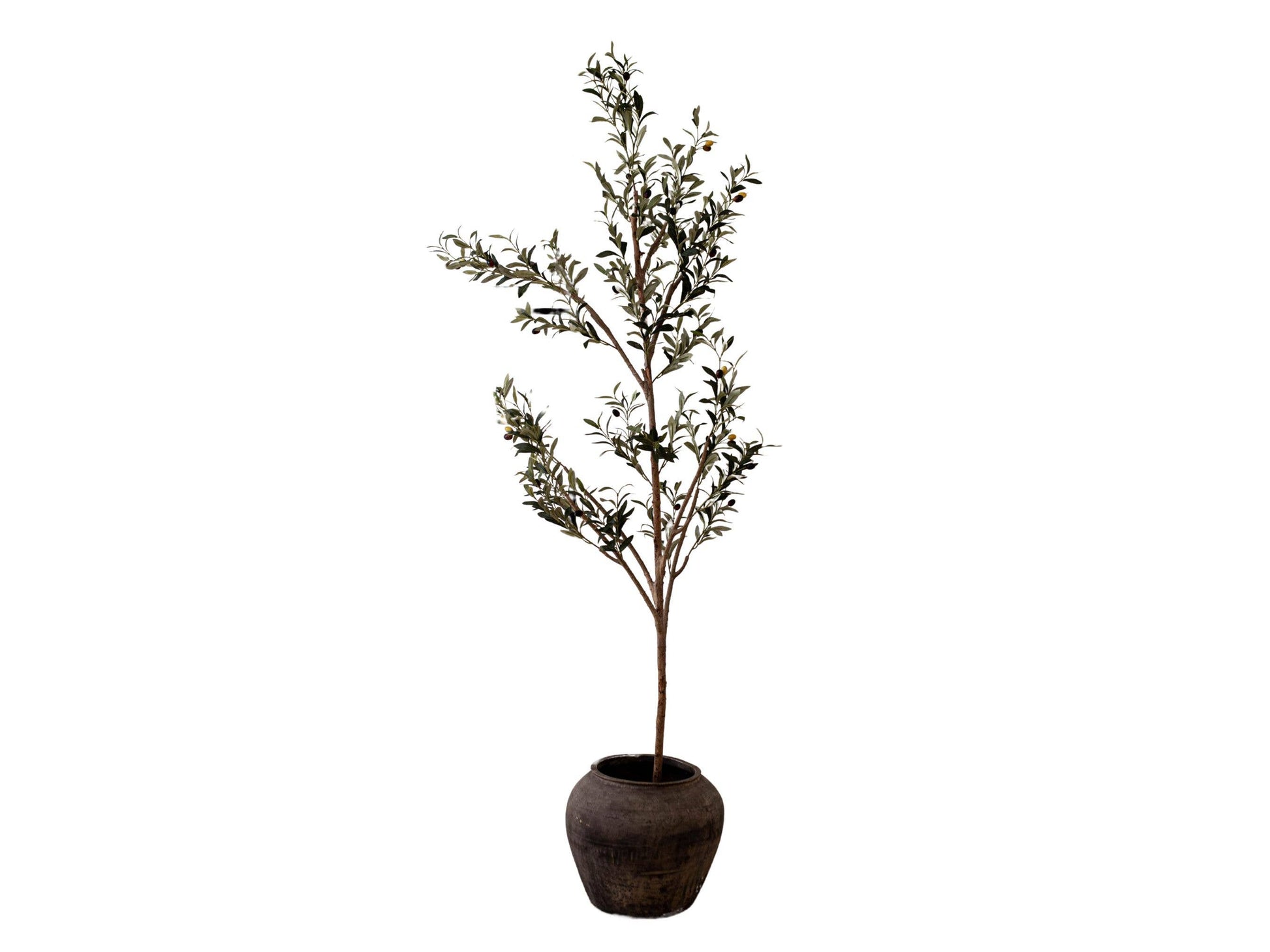 Atelier Black Vintage Olive Tree Pot Vase - Magnolia Lane co. Home + Garden + Gift