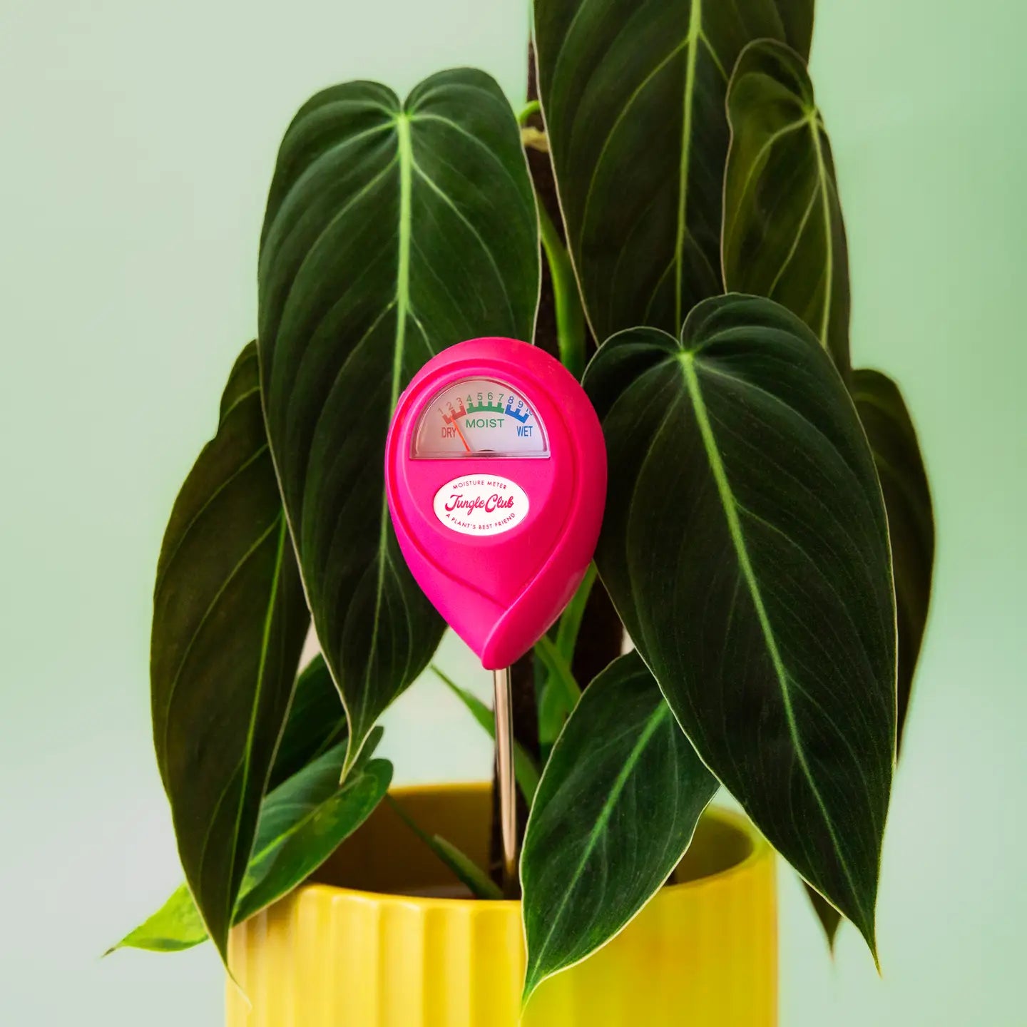 Moisture Meter | Hibiscus - Magnolia Lane co. Home + Garden + Gift