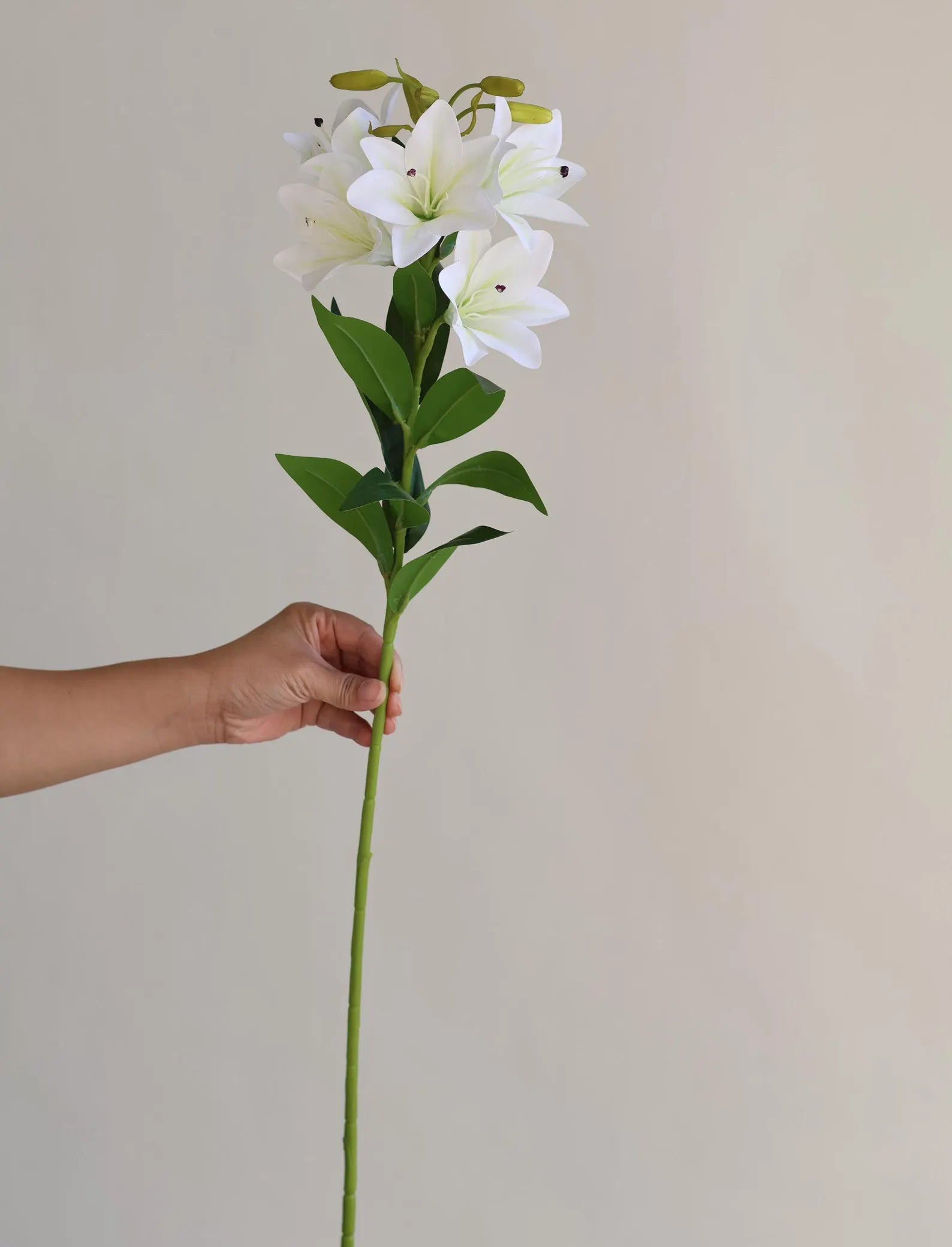 29.5" Faux White Lily - Magnolia Lane co. Home + Garden + Gift
