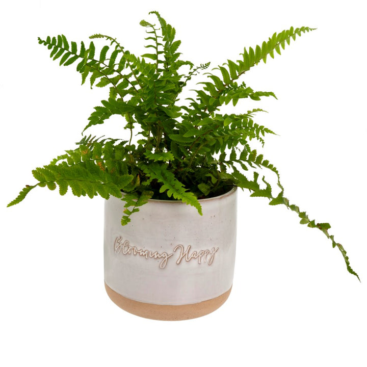 Blooming Happy Pot - Magnolia Lane co. Home + Garden + Gift